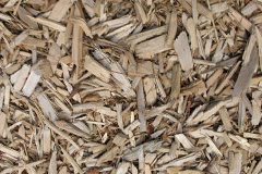 biomass boilers Tote