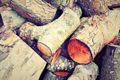 Tote wood burning boiler costs